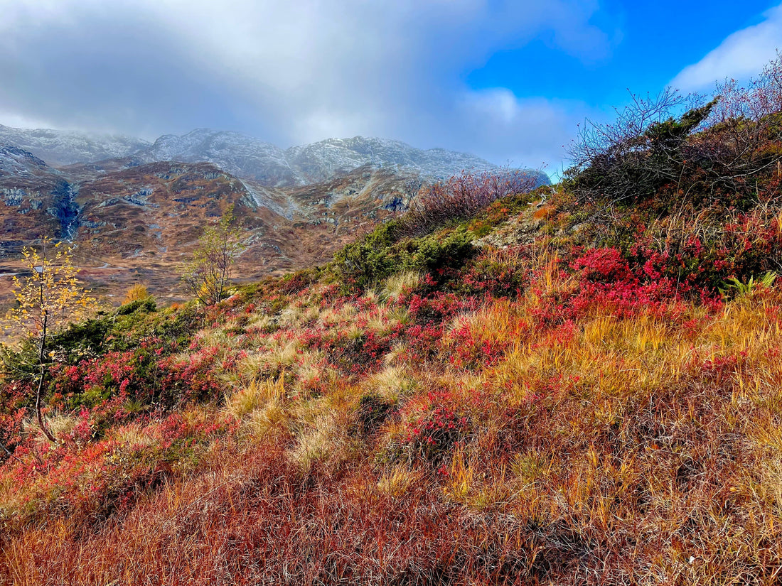 From seeing to feeling